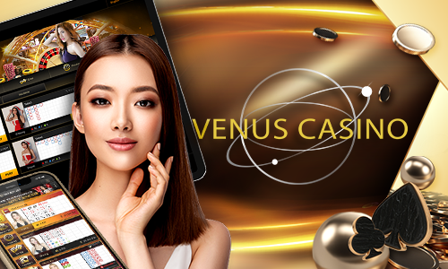 80 win vaaco cassino jogos grátis